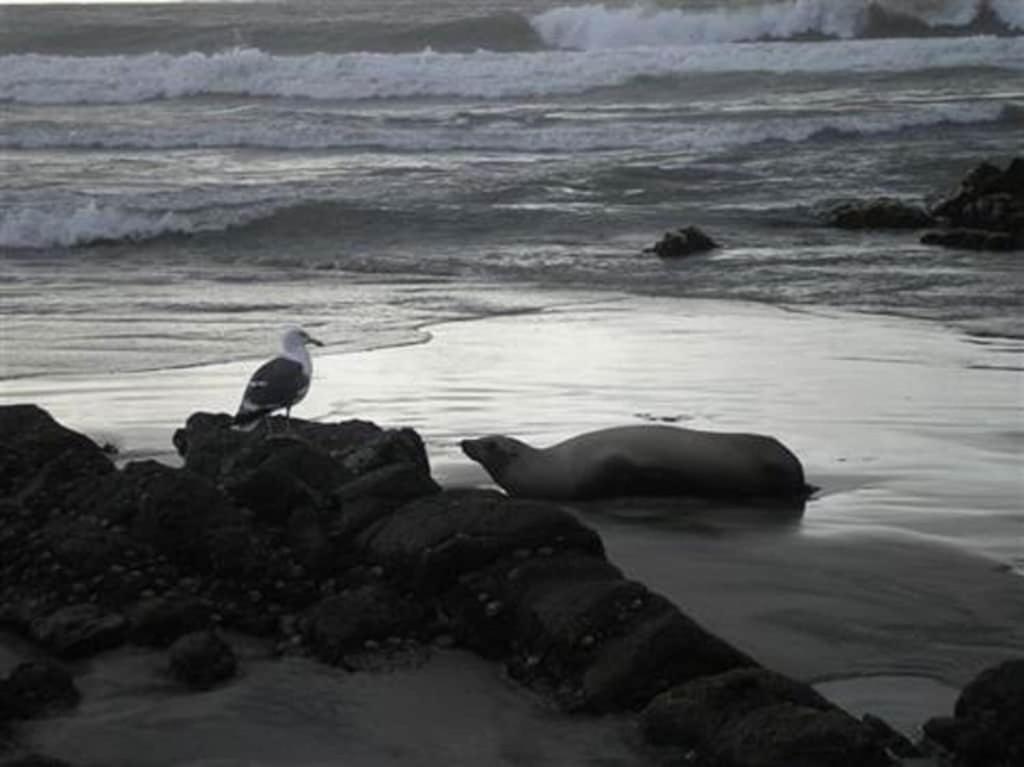 'Luxury Oceanfront Penthouse With Pools, Jacuzzis And Spectacular Ocean Views' Apartment Rosarito Luaran gambar